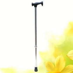 Picture of Cane Lk 3040 Bright Silver