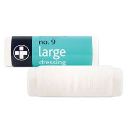 Picture of No9 Dressing Large