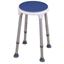 Picture of Rotating Bath Stool